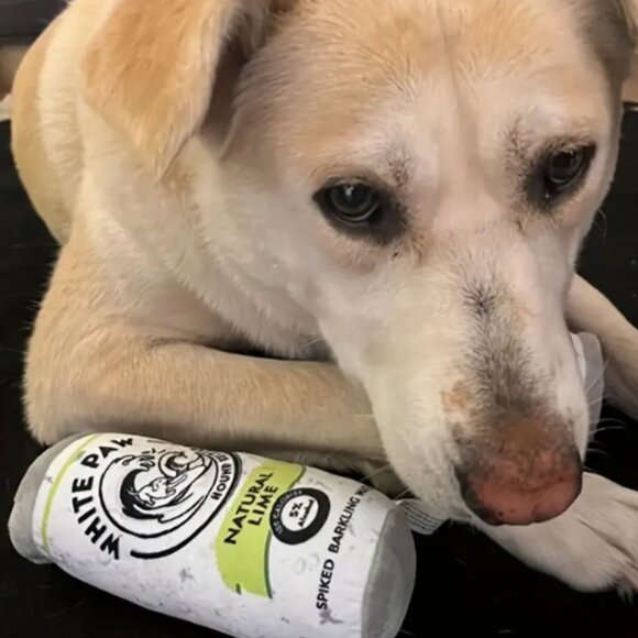 White Paw Dog Toy (Choice of 1) - Picture 2 of 2